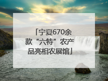 宁夏670余款“六特”农产品亮相农展馆